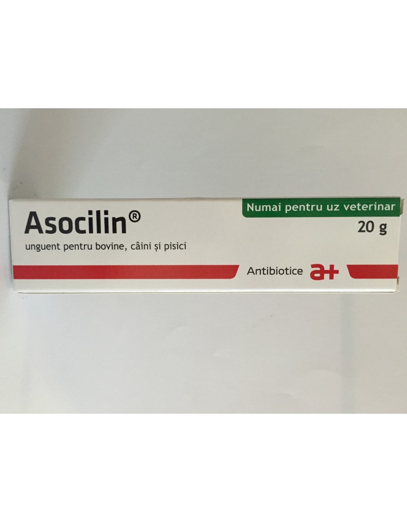 Asocilin 20g - Unguent