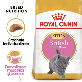 Royal Canin British ShortHair Kitten - 400gr