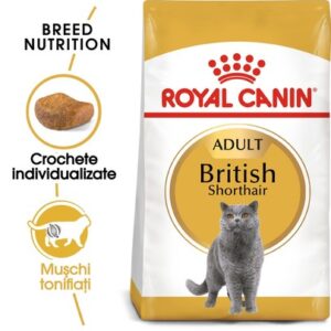 Royal Canin British ShortHair Adult - 10kg