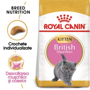 Royal Canin British ShortHair Kitten - 2Kg