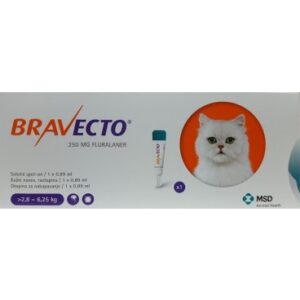 Bravecto 250 mg solutie spot-on pentru pisici de talie medie